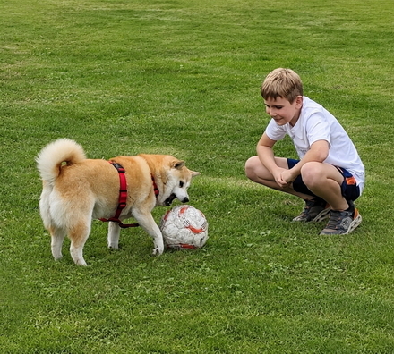 Fiene spielt im Garten mit einem Ball