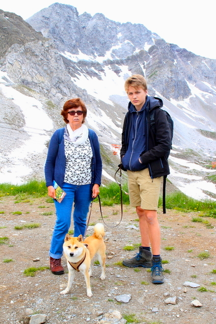 Fiene vor alpiner Landschaft