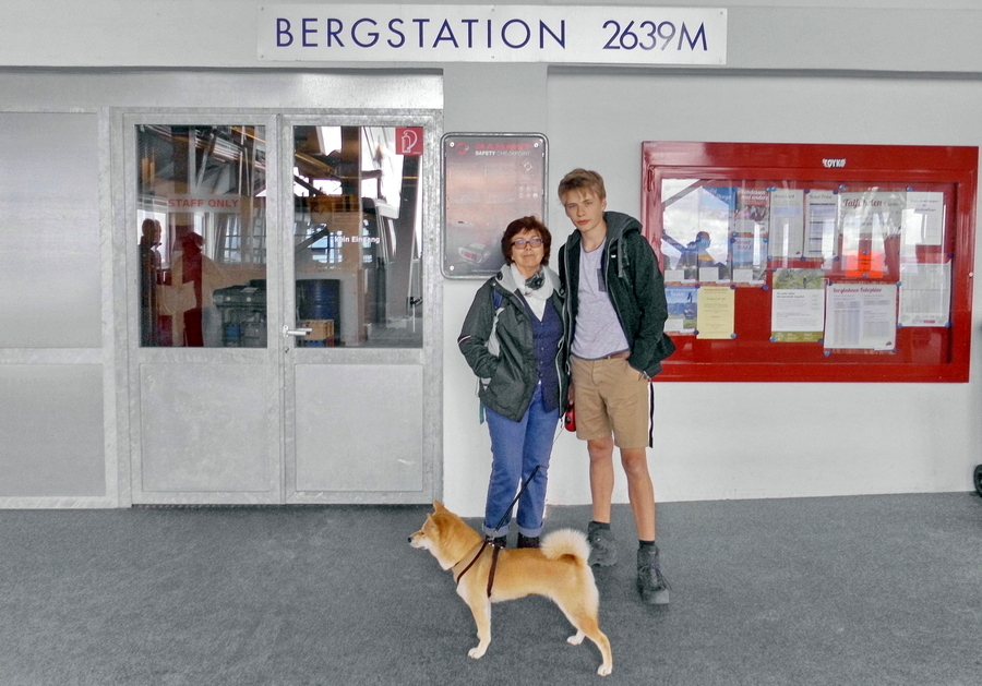 Fiene an einer Bergstation